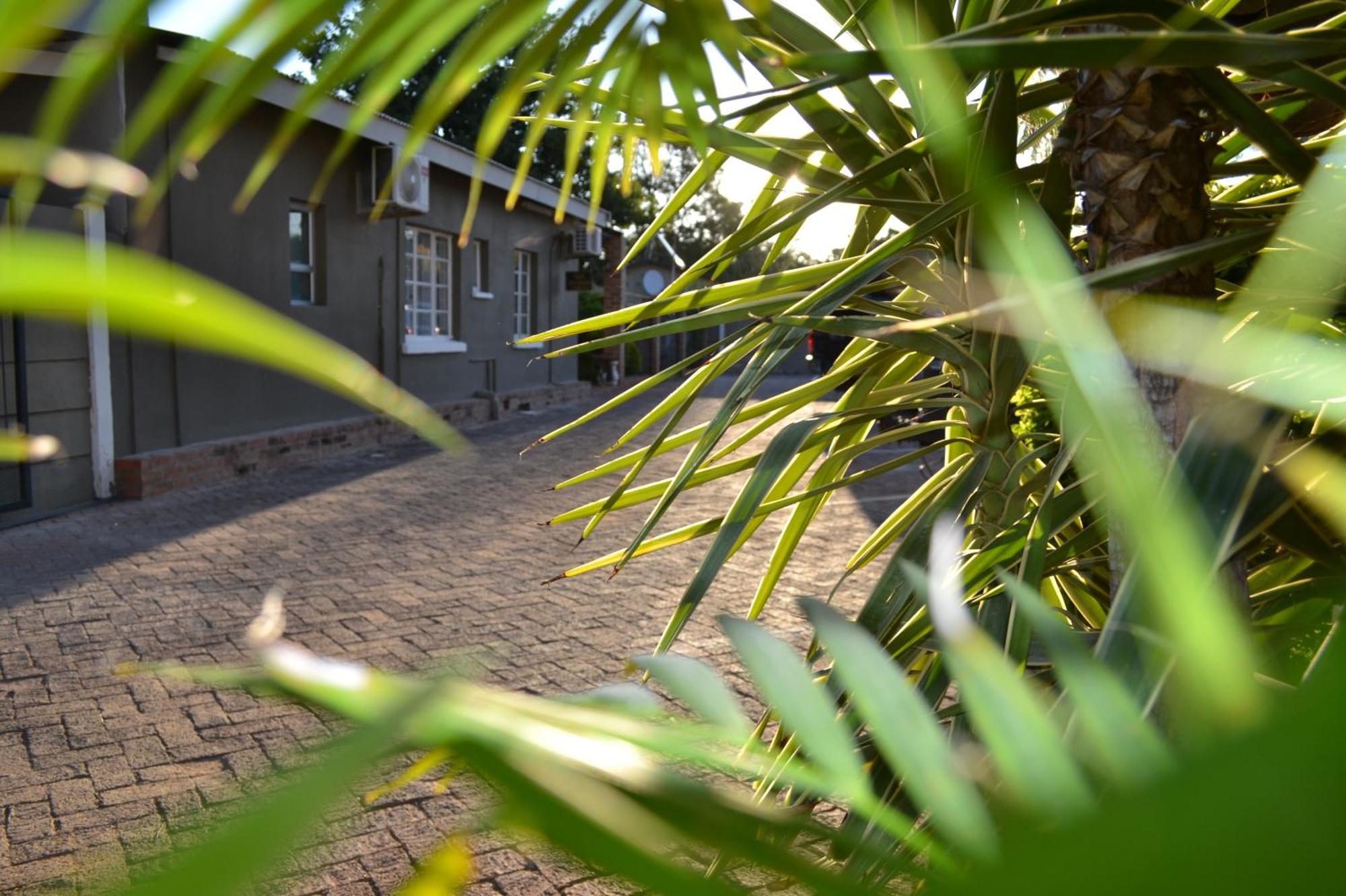 Travel North Guesthouse Tsumeb Exterior foto